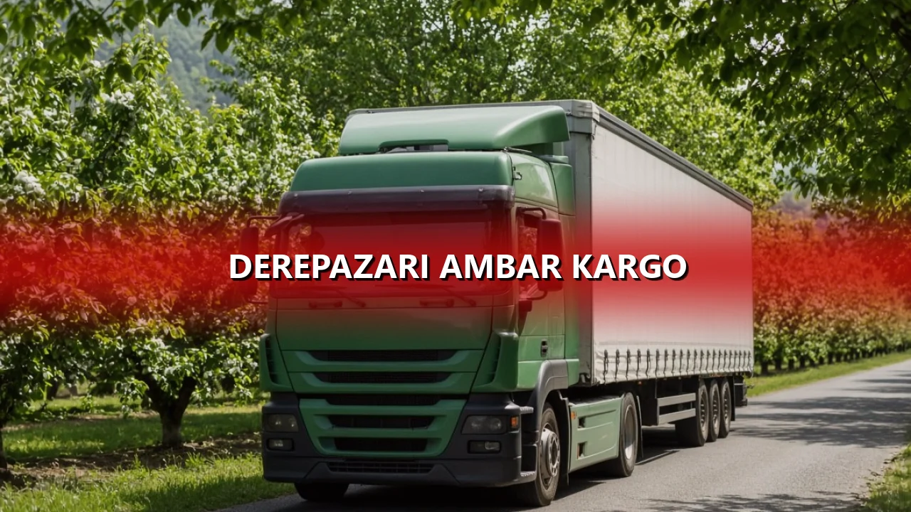 Derepazarı Ambar Kargo