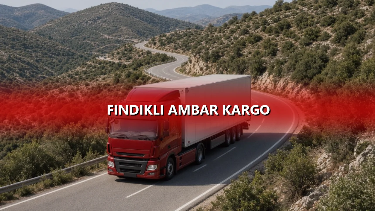 Fındıklı Ambar Kargo
